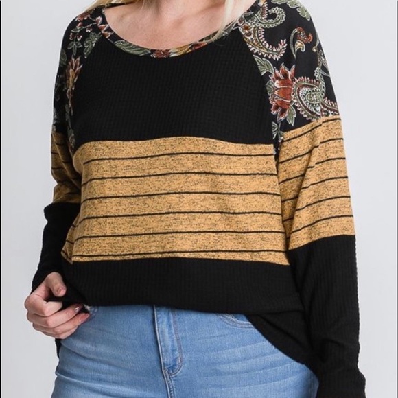 Plus Size collective rack women long sleeve Raglan Sleeve - Picture 4 of 4